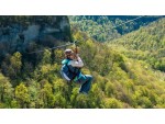 Троллей